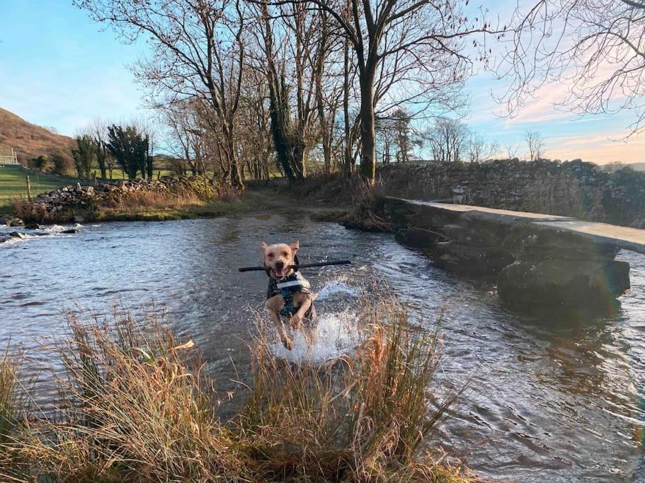 Charming Dog-Friendly Yorkshire Dales Cottage, أوستويك المظهر الخارجي الصورة