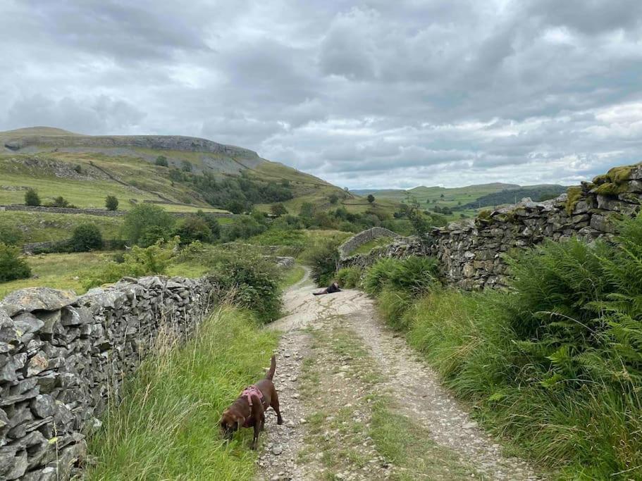 Charming Dog-Friendly Yorkshire Dales Cottage, أوستويك المظهر الخارجي الصورة